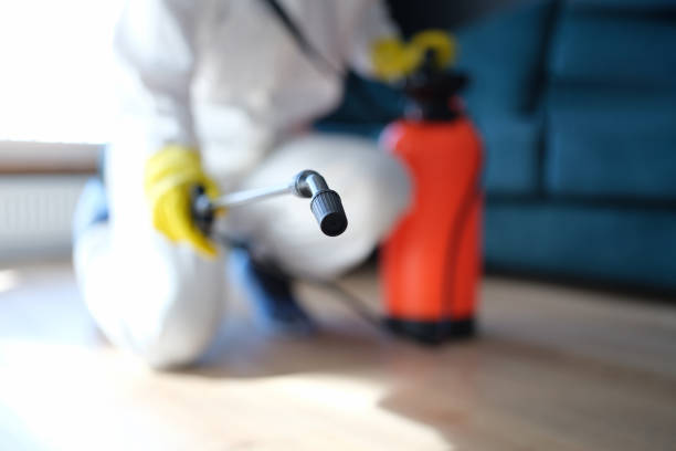 Best HVAC Mold Inspection and Cleaning  in Eddington, PA